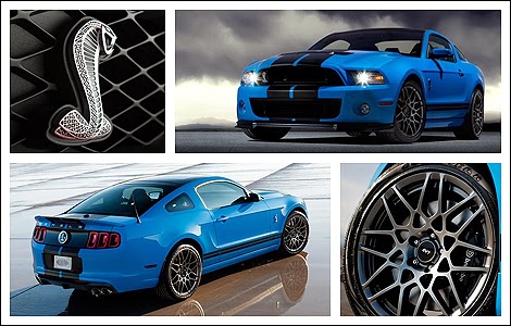 2014 Ford Shelby GT500