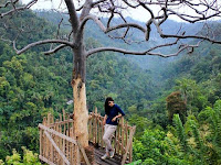 Watu Tekek Kulonprogo, Keindahan Alam Tersembunyi di Jogja