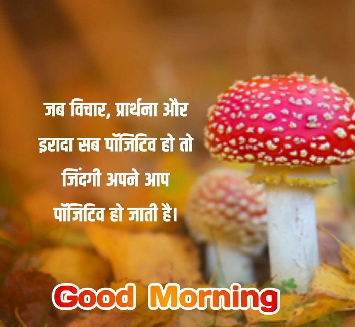 good morning quotes in Hindi download