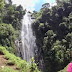 Materuni waterfalls & Coffee Tour