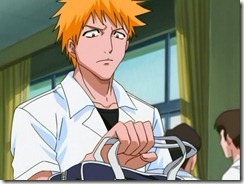 Bleach 18 Ichigo Broods