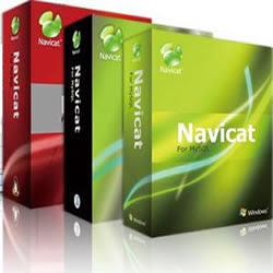 Navicat Premium v8.2.11