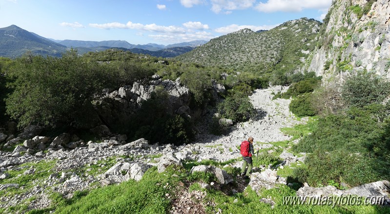 El Cintillo - Sierra Baja de Ubrique - Paso del Bombo - Ubrique - Cañada de los Pernales