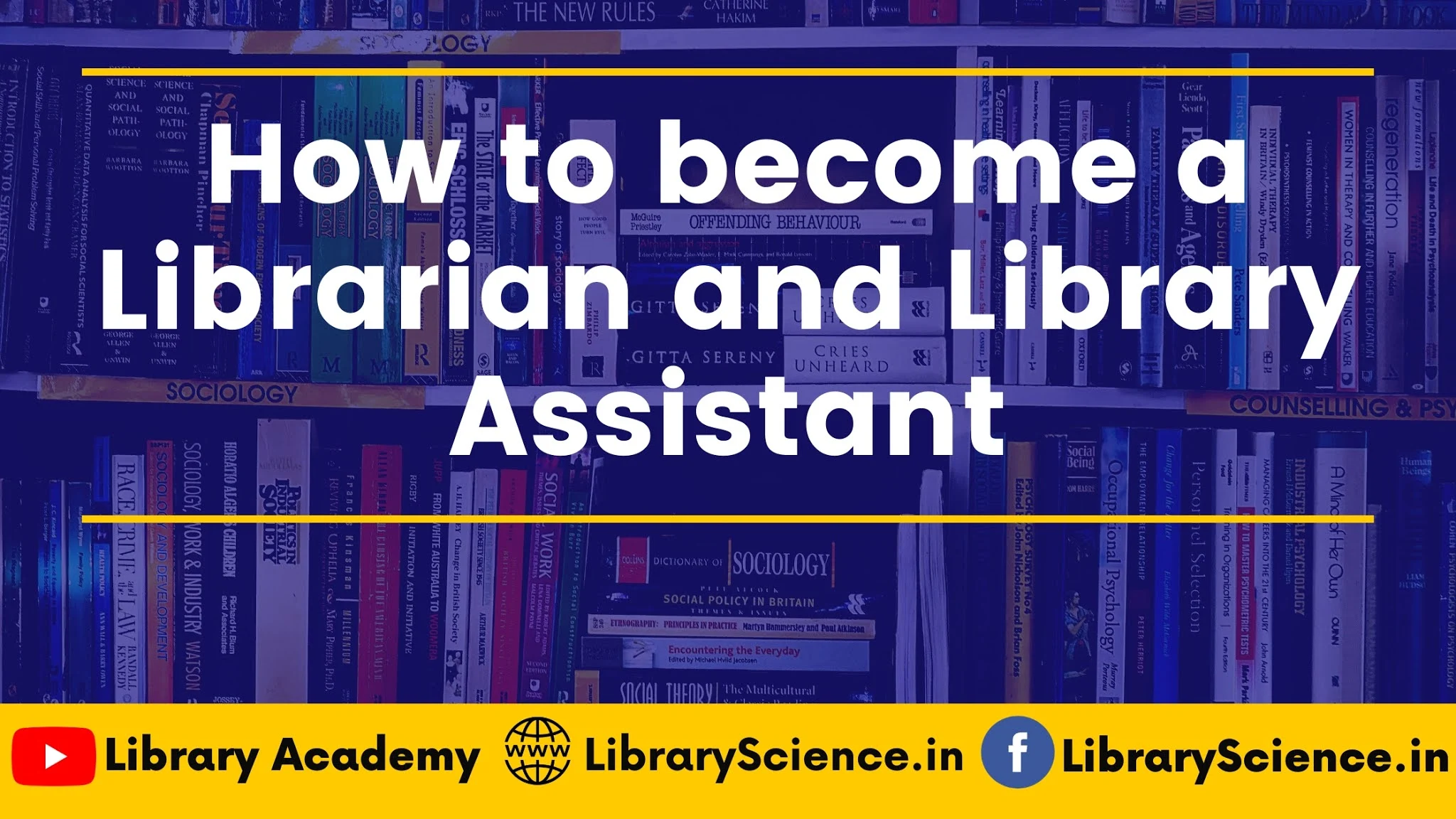 How to Become a Librarian