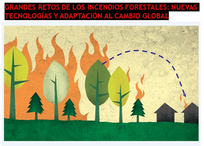 Curso de Verano 2021