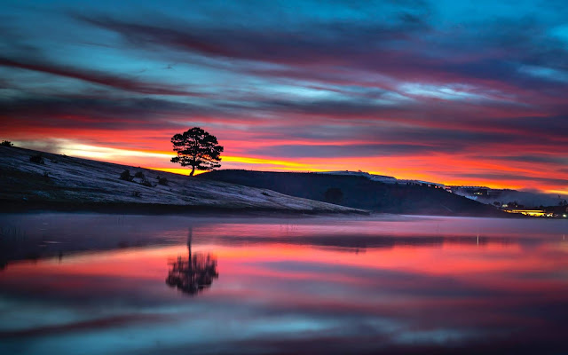 Reflection Tree