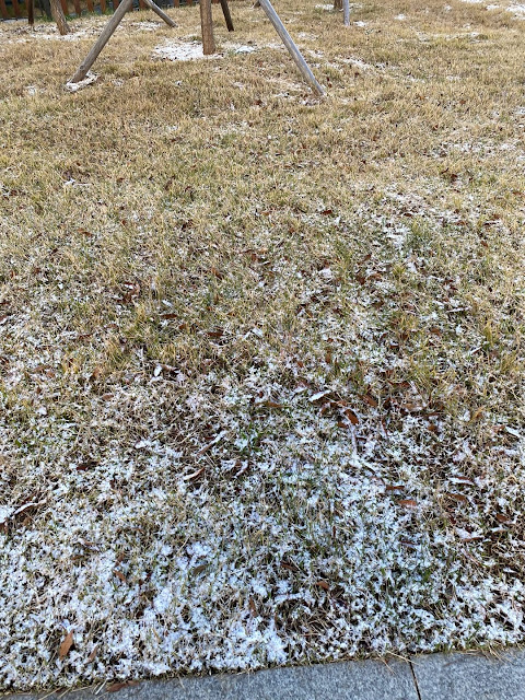 18 November 2023 - First Snow Fall in Busan, Korea