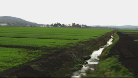A view of a drainage ditch with an "island" in the background.