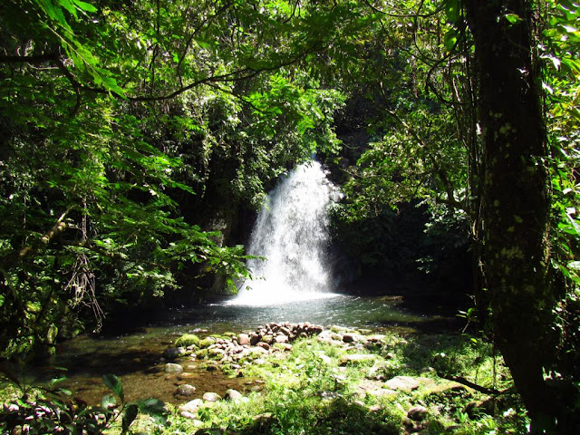 Secret Falls Mount Isarog