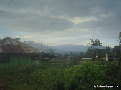 Sabarimala forest photos