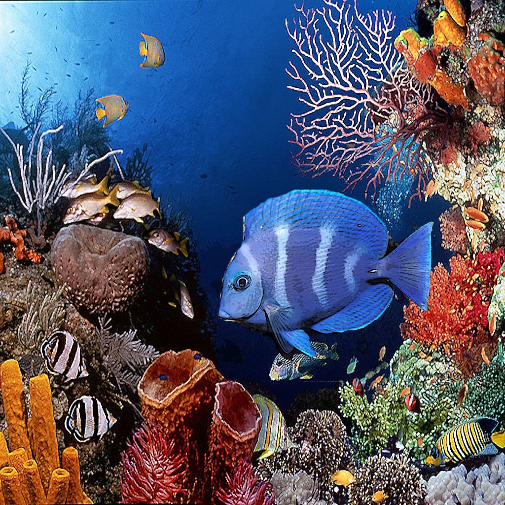 So first, I grabbed several images of tropical fish from Google Images ...