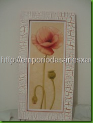 DSC04427