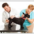 Várzea do Poço: vacinação de cães e gatos contra a raiva começa dia 14