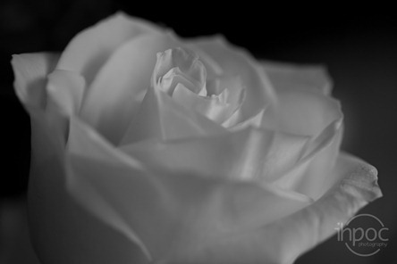 IMG_6897_filtered