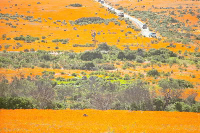 Parque nacional Namaqua