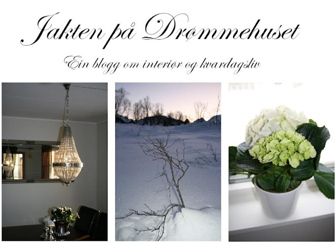 Jakten på drømmehuset