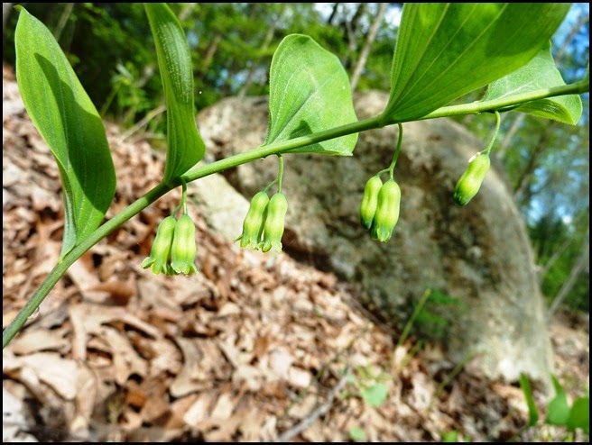 P1230316