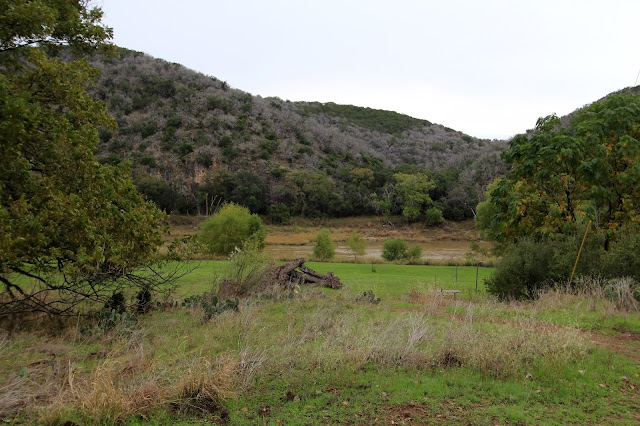 Colorado River-Colorado Bend State Park-Bend, Texas