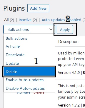 Delete Plugins