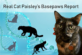 Basepaws results