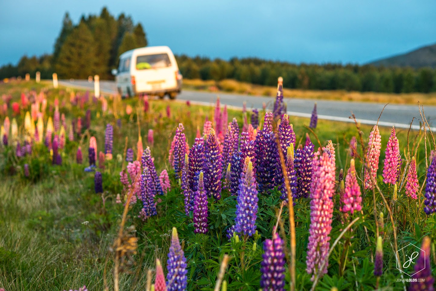 Mackenzie Country, Canterbury - He Traveled Around New Zealand In A Camper Van… This Is What He Saw.