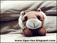 Mr. Tiper Tan