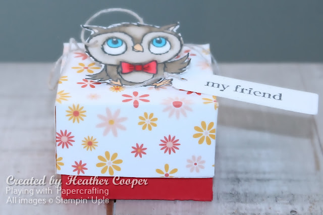 adorable owl treat box for sab