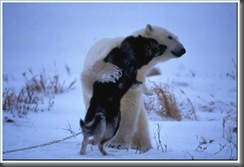 clip_image002[6]
