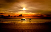 15. Zen Sunset Wallpaper. 16. Sunset Ride in the Beach Wallpaper (horse wallpaper golden sunset )