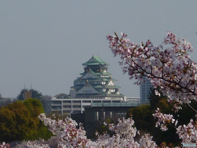 桜と大阪城