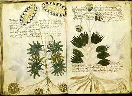 Il Manoscritto Voynich è un manoscritto cifrato, talvolta attribuito a Roger Bacon.