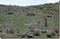 WLWagonTrainPath