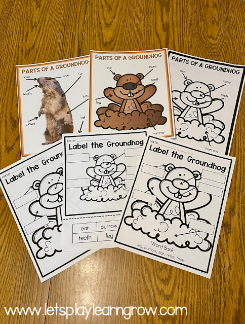 Groundhog Day Activities Thematic Unit and Craft