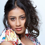 Telugu actress hasini photoshoot