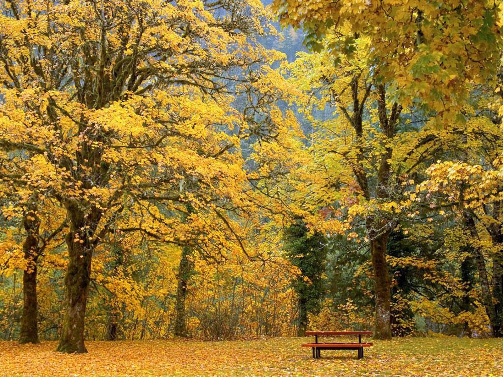 ... Beautiful Autumn Scenery Desktop Backgrounds,Beautiful Autumn Scenery