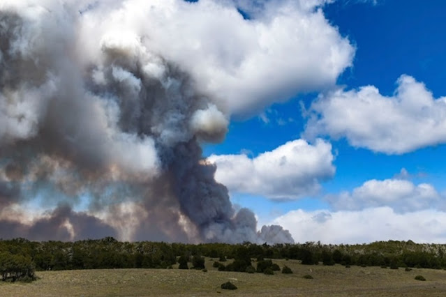 Nuevo incendio forestal en cercanias a la estancia La Correntina