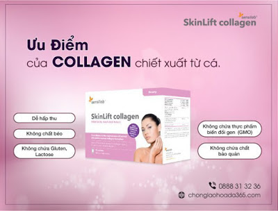 Collagen chiết xuất từ da cá chống lão hóa da hiệu quả