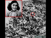 Chi tradì Anna Frank?