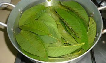 Menghilangkan Jerawat dengan Daun Jambu Biji