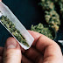 Alemania legaliza la posesión de marihuana