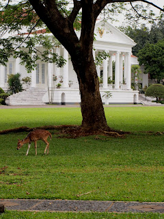 Bogor Palace, Bogor Botanical Garden