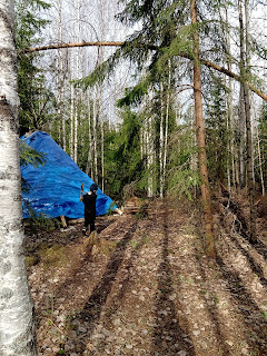 Metsäinen näkymä retkipaikka Metsänhelmassa