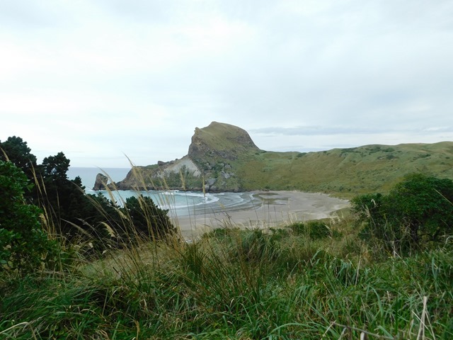 C15_NZ NI Castlepoint_2018-04-28_DSCN9183