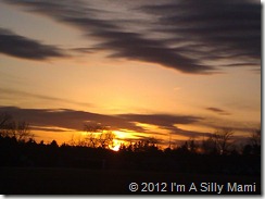 IMG_20120228_172450[1]