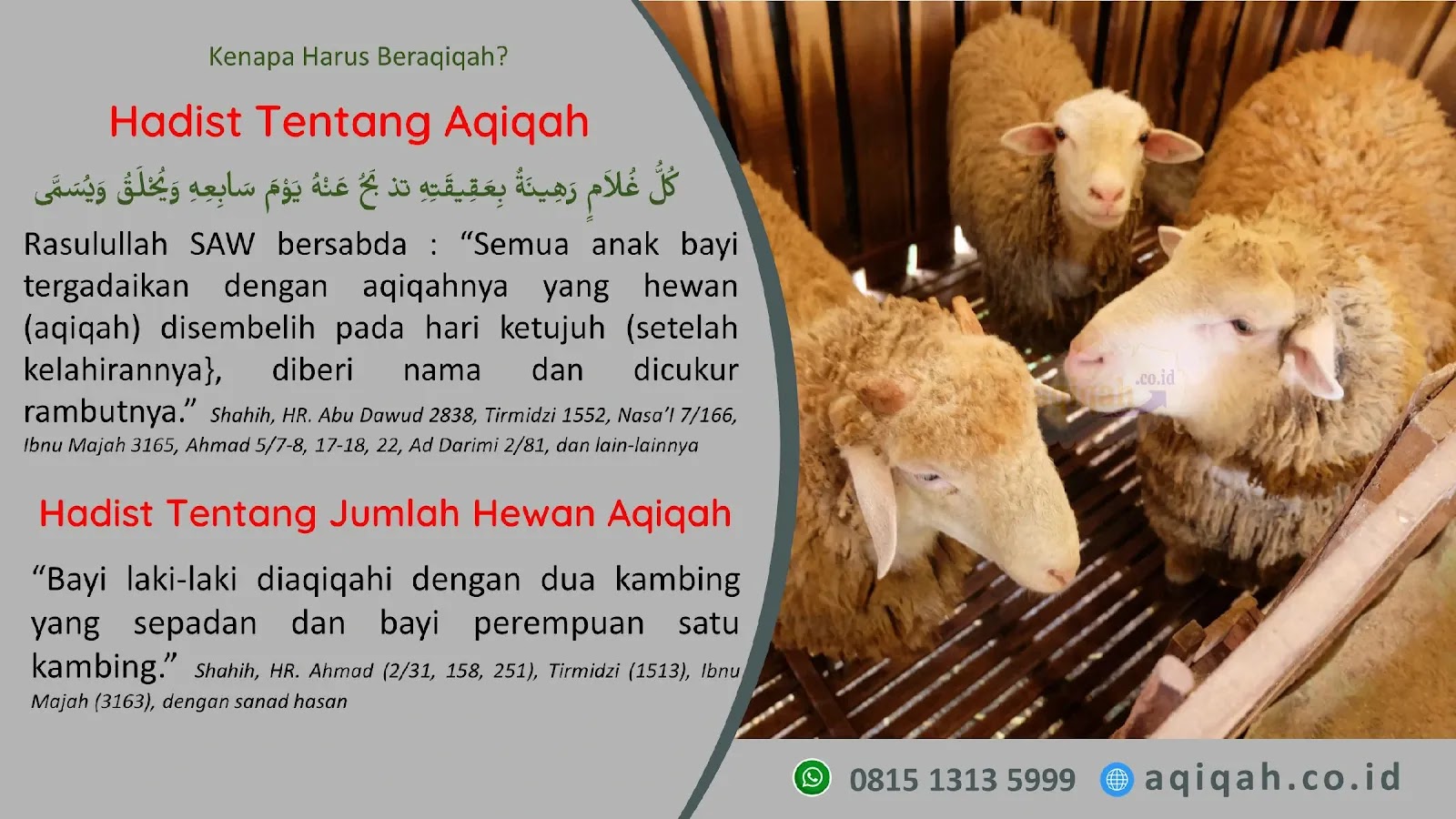 Paket Catering Akikah Bintaro Pesanggrahan Jakarta Selatan