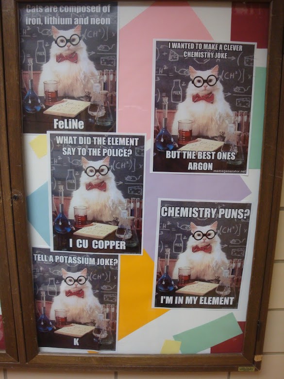 Chemistry Puns Cat : Sunday Evening Art Gallery Chemistry Cat Humoring The Goddess : The cat's out of the bag.