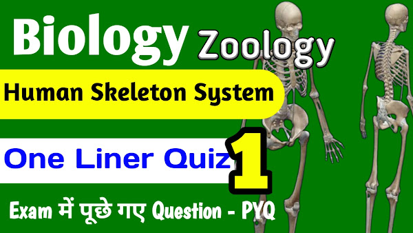 Human Skeleton System One Liner Quiz