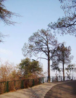 Kasauli (Best Honeymoon Destinations In India) 3