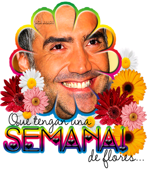 affloresacabr cópia