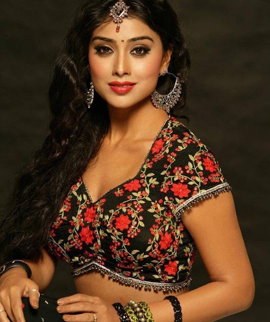 Shriya Saran's Hot Wallpaper